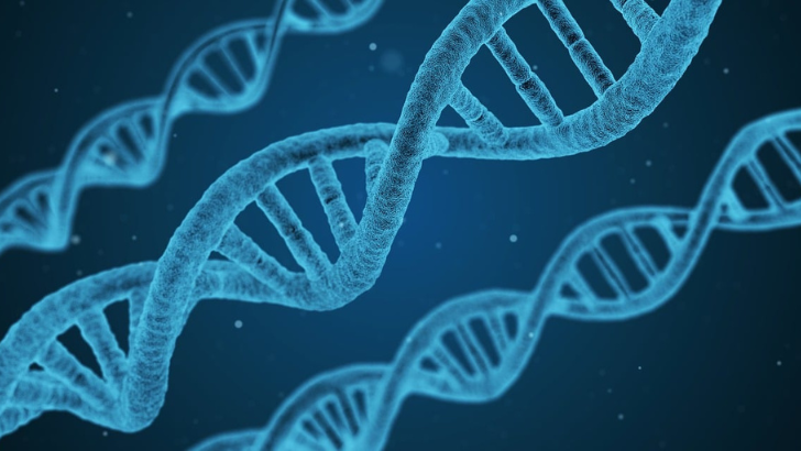 https://www.salarnews.in/public/uploads/images/newsimages/maannewsimage28092025_232123_DNA Evidence .png